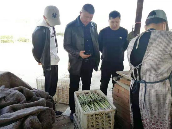 來(lái)自河南、山東、新疆的客人在種植園考察