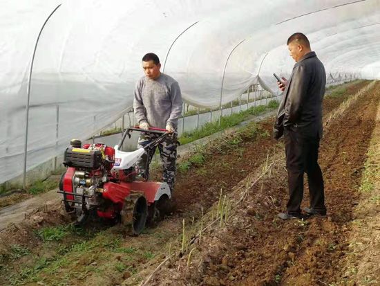 來(lái)自河南、山東、新疆的客人在種植園考察