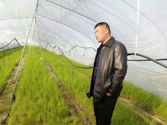 來(lái)自河南、山東、新疆的客人在種植園考察